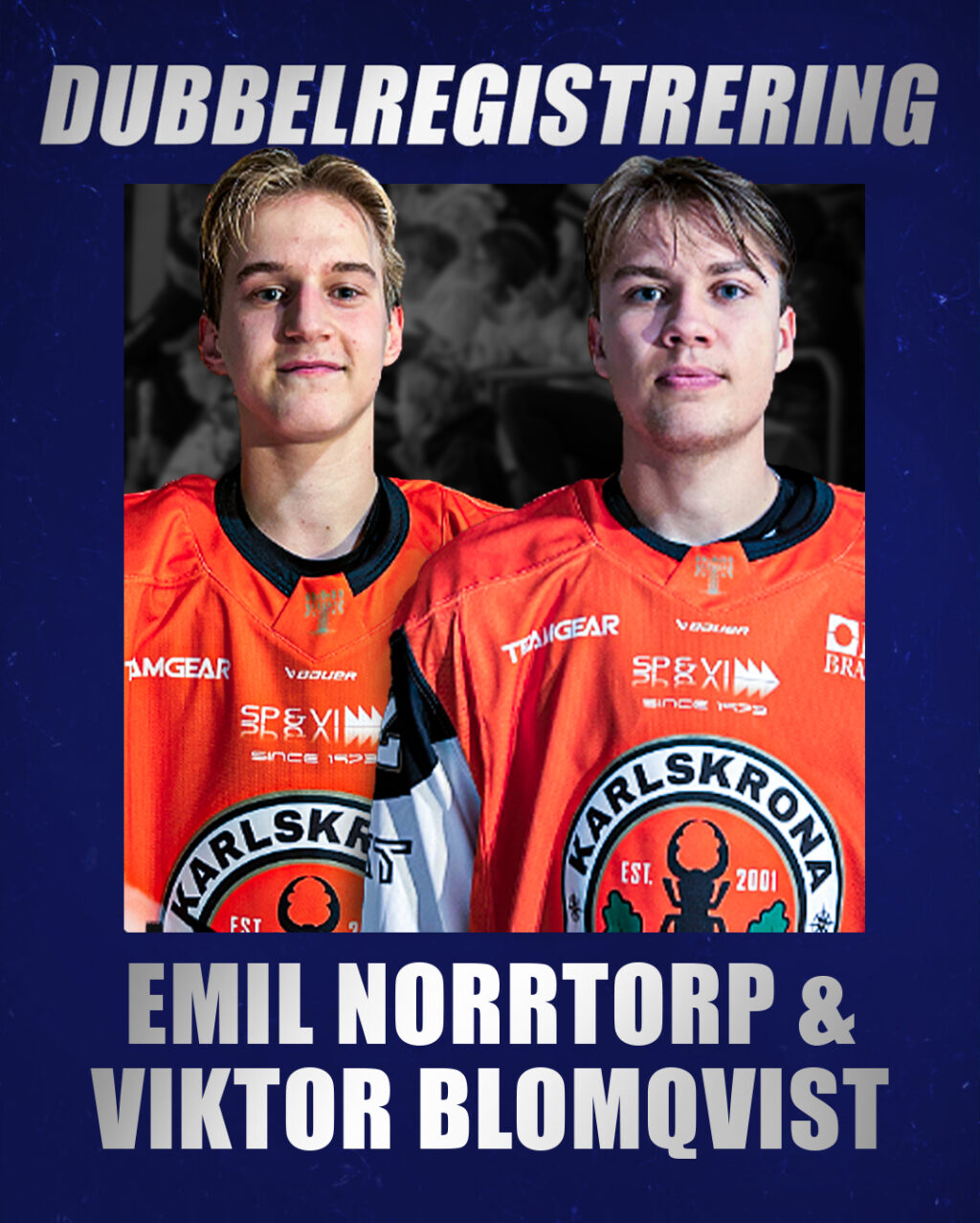 Dubbelreg x2
