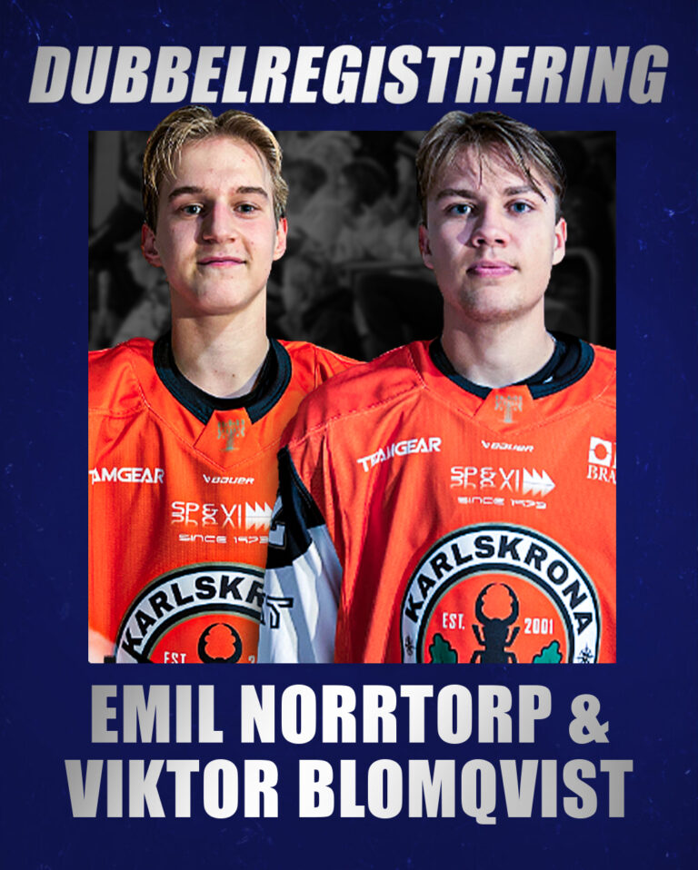 Dubbelreg x2