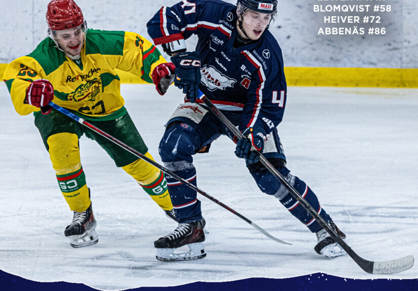 Slutresultat omg10 vår gik