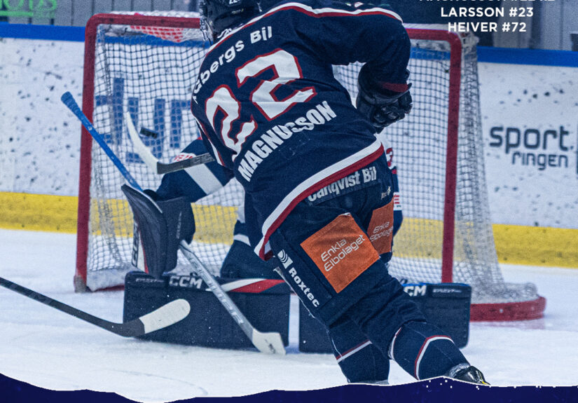 SLutresultat Mölndal b vår