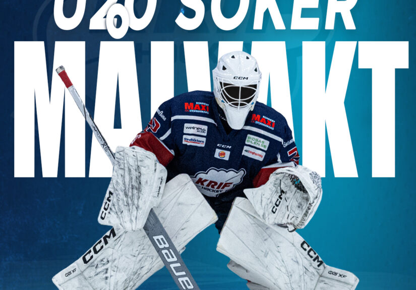J20 söker goalie