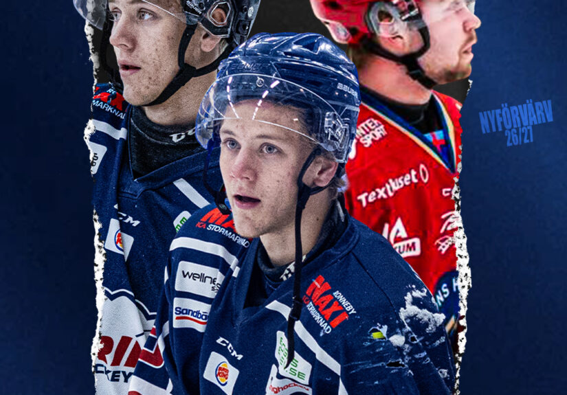 Nyförvärv 2627 multi Svenssons